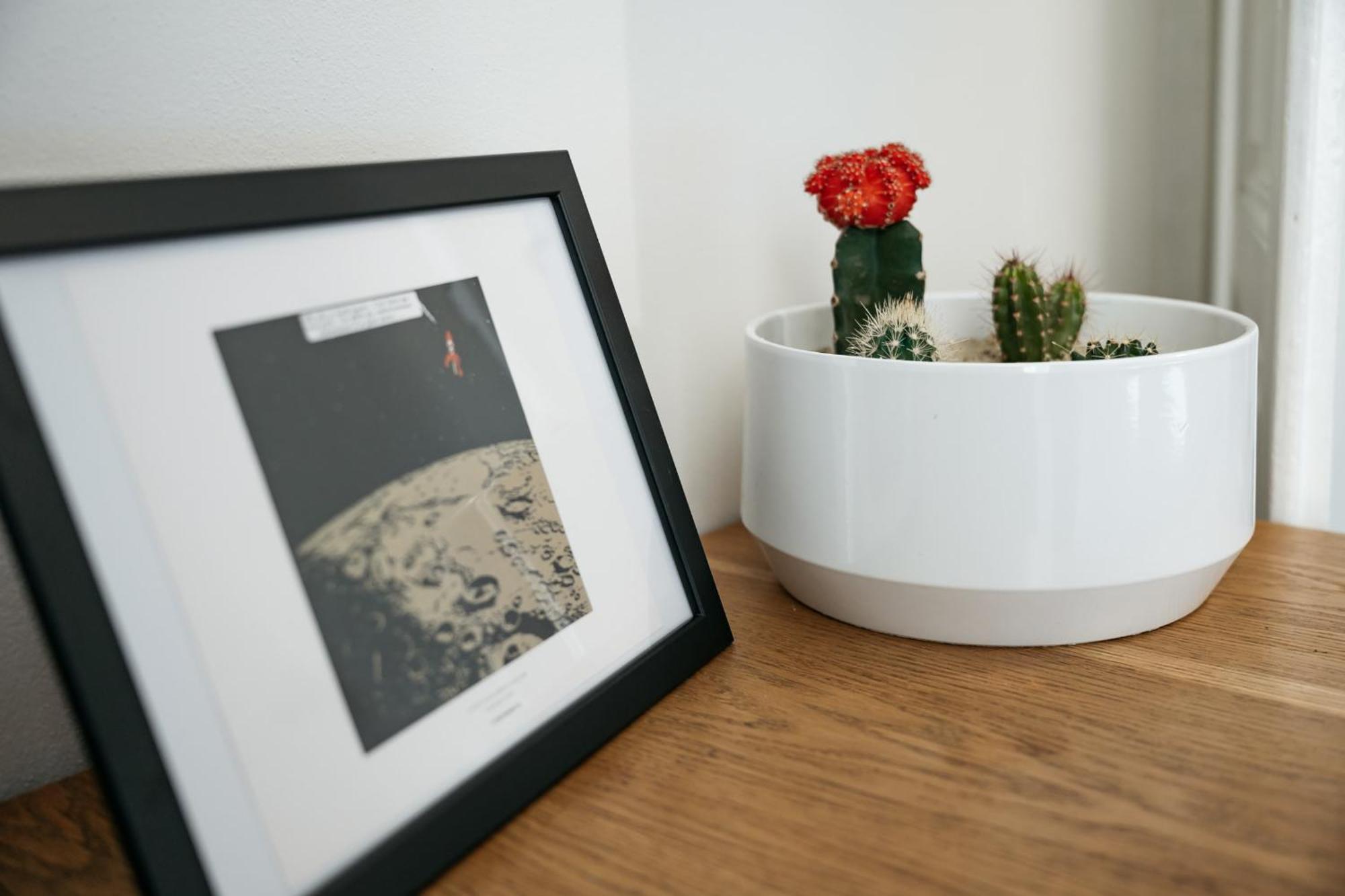 Comfortable And Cosy Apt A Few Steps From Dancing House And Naplavka Dance Prag Exterior foto